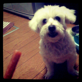 iphone/image-20110529084926.png