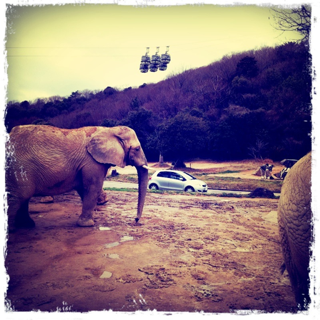 image-20110522103954.png