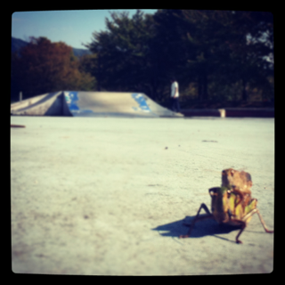 iphone/image-20111019131953.png